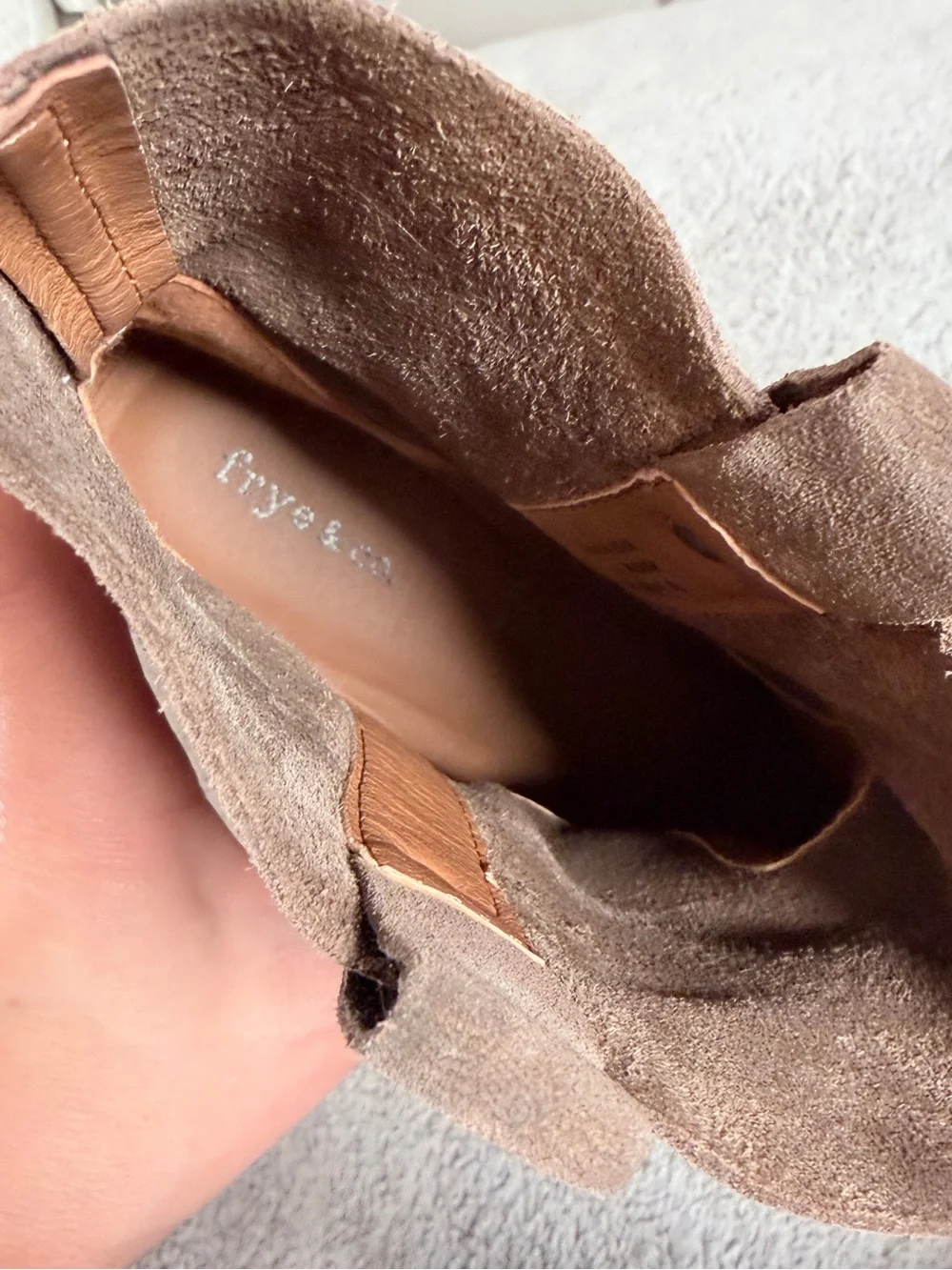 Frye stylish taupe